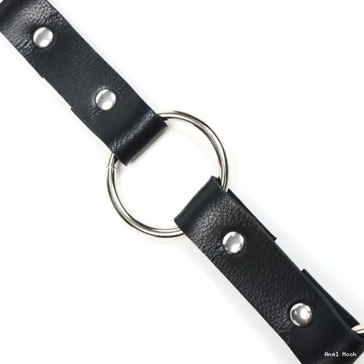 EverydayUse Kinky Hook with 5853 Leash Collar and Anal 1217